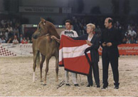 Anchoulie - Wells 2000